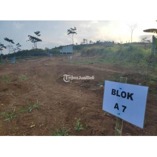 Jual Tanah Kavling Murah Di Cipanas Free Kebun Hidroponik Shm Di Bogor