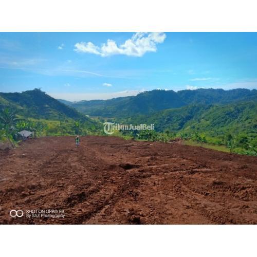 Jual Tanah Kavling Murah Di Cipanas Free Kebun Hidroponik Shm Di Bogor