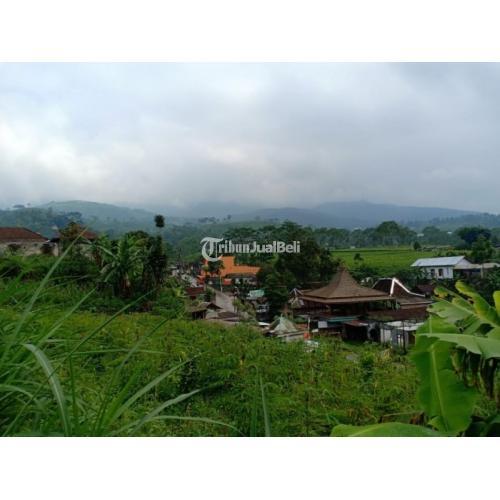 Dijual Tanah M Idaman View Bukit Perkebunan Teh Kemuning Ngargoyoso