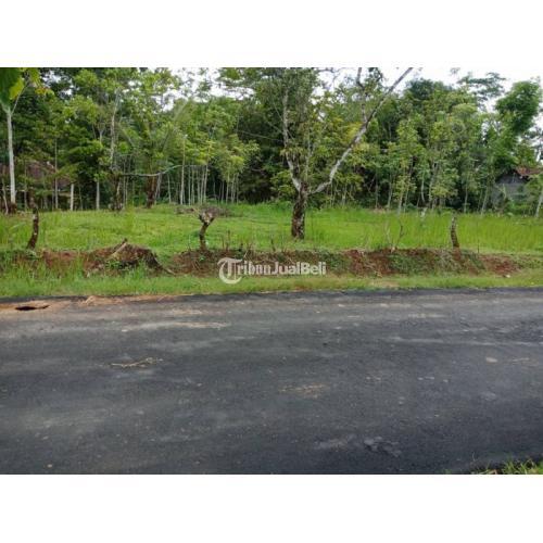 Dijual Tanah Kebun Durian 9303m2 Di Karangpandan Di Karanganyar