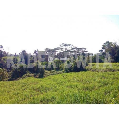 Dijual Tanah 44 Are Los Sungai Lodtunduh Ubud Harga Nego Di Gianyar