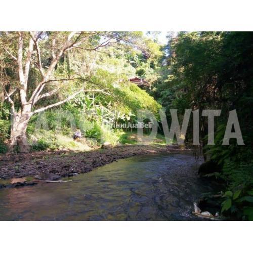 Dijual Tanah Are Los Sungai Lodtunduh Ubud Harga Nego Di Gianyar