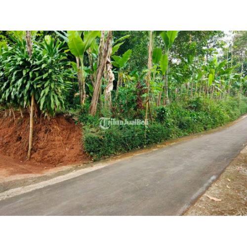 Dijual Tanah 683m2 Cocok Untuk Kebun Buah Mojogedang Di Karanganyar