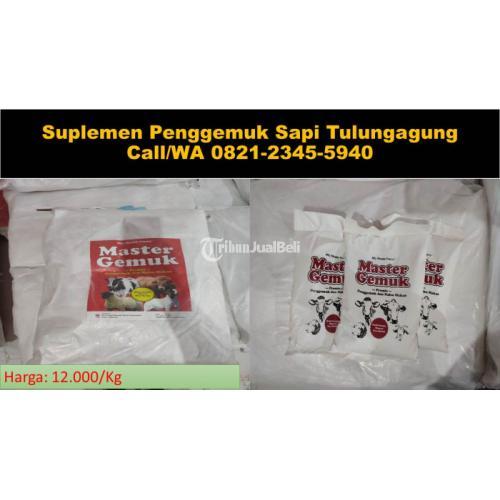 Premix Suplemen Pakan Vitamin Untuk Sapi Perah Di Tulungagung Tribun