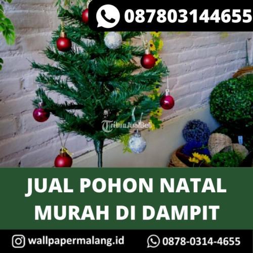 Pohon Natal Murah Dan Bagus Di Malang Tribun Jualbeli