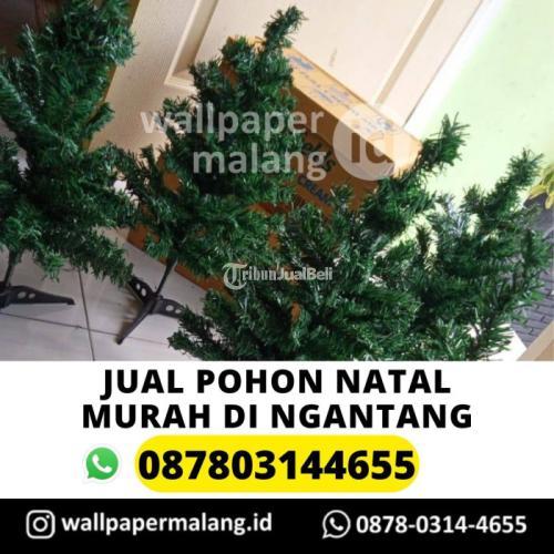 Pohon Natal Murah Di Ngantang Di Malang Tribun JualBeli