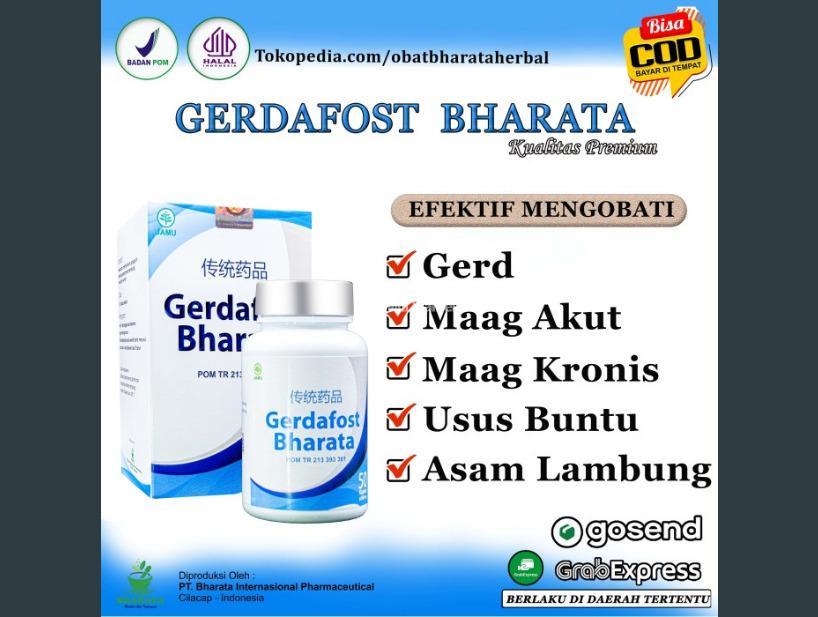 Obat Maag Kronis Akut Gerd Radang Usus Gerdafost Bharata Original Di