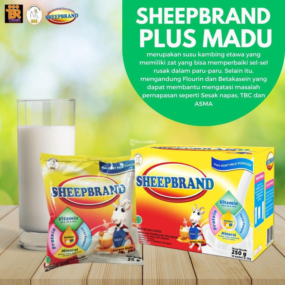 Susu Kambing Etawa Sheepbrand Plus Madu Untuk Bronkitis Di Sleman