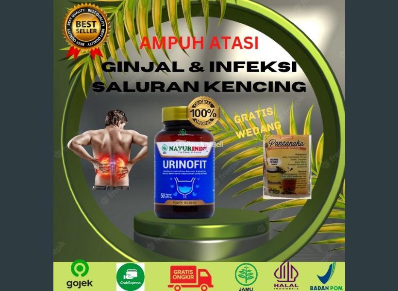 Obat Batu Ginjal Dan Pembersih Saluran Kemih Ampuh Di Jakarta Utara