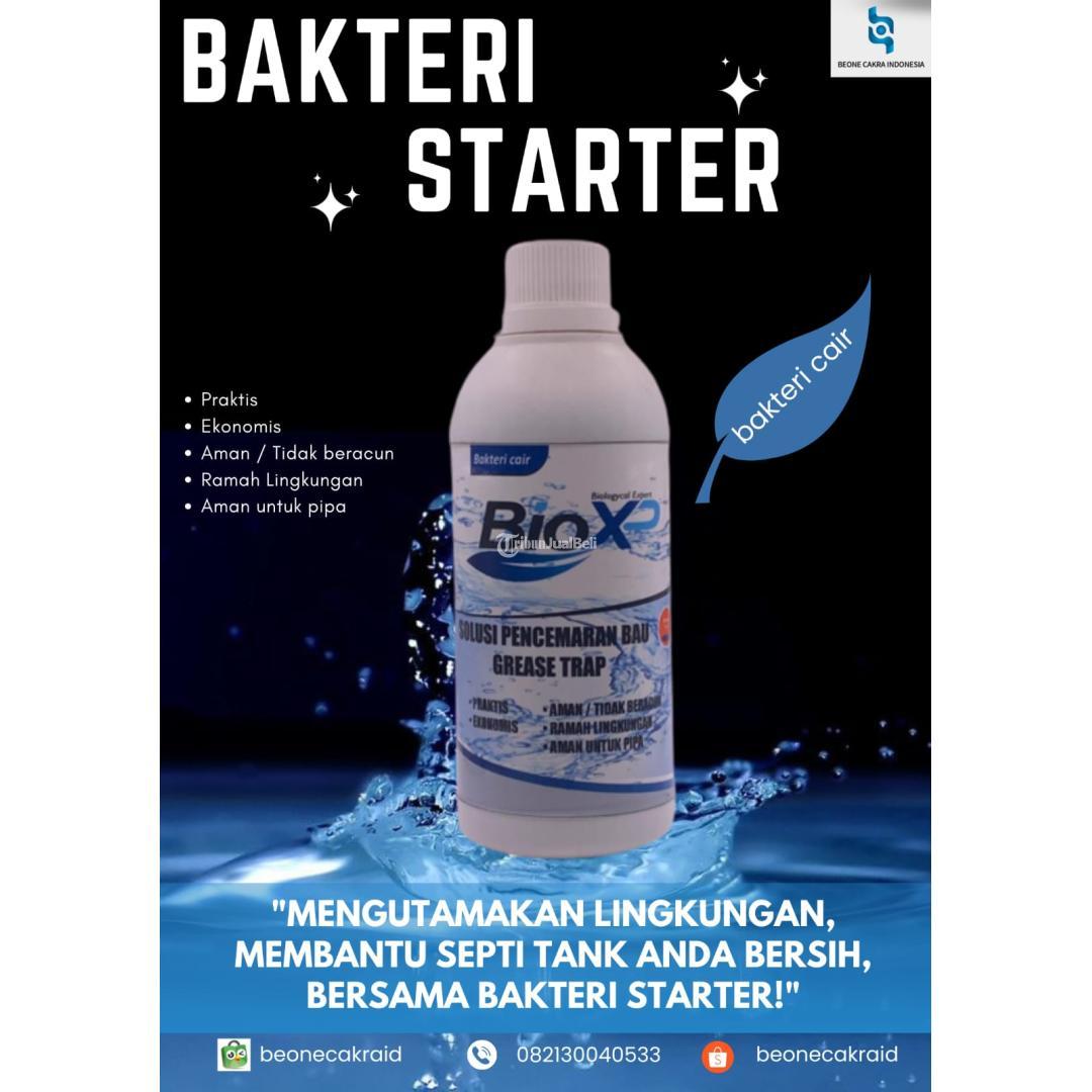 Super Sale Bakteri Starter Beone Cakra Indonesia Di Bogor Tribun Jualbeli