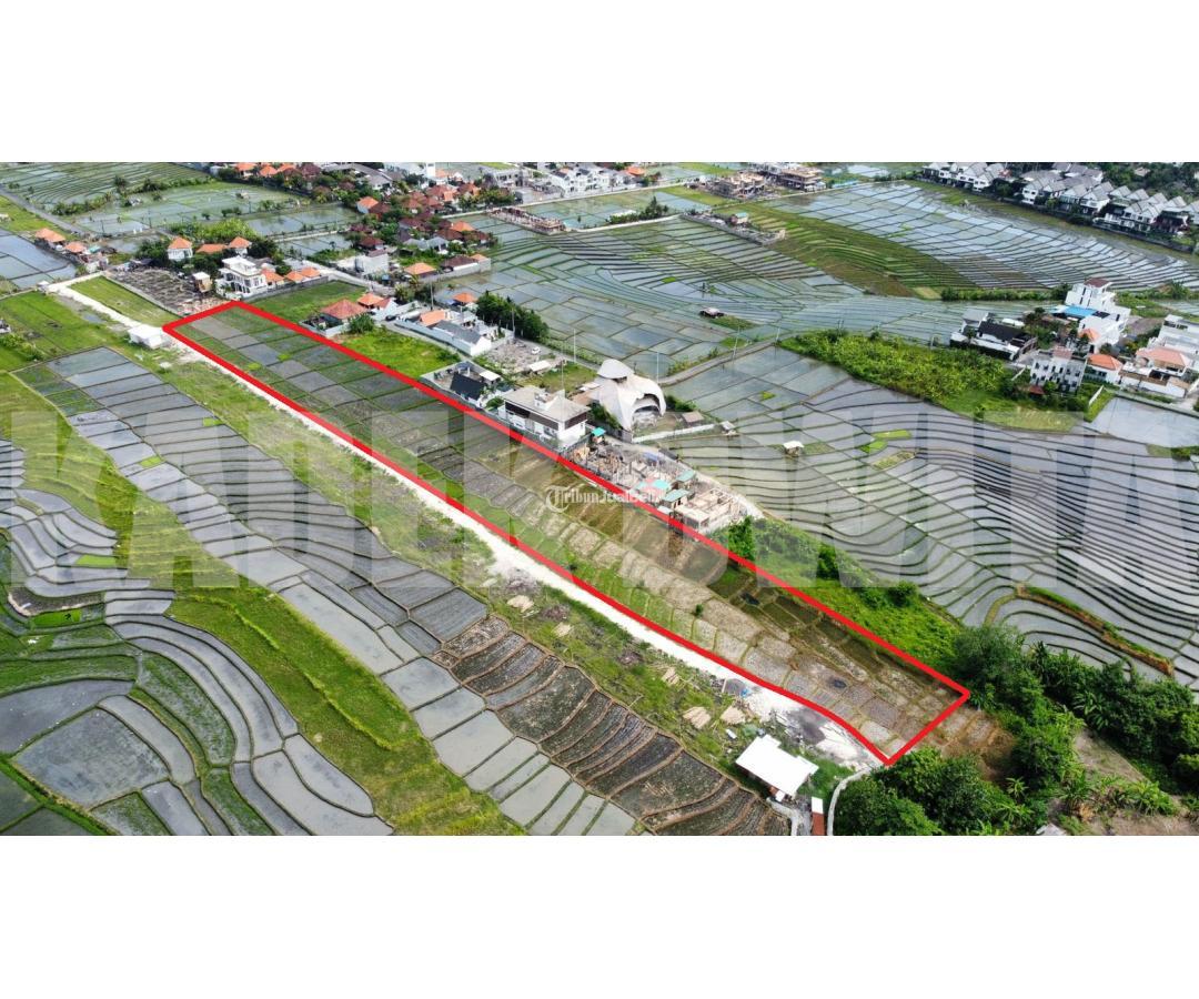 Jual Tanah Luas 7000 M2 Pantai Cemagi View Sawah Di Badung Tribun