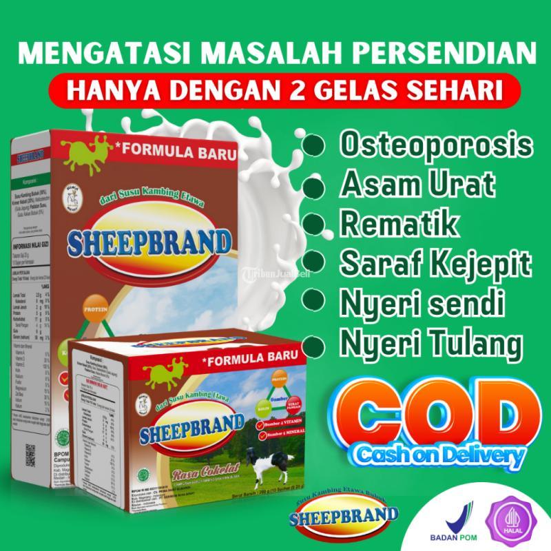 Susu Kambing Etawa Sheepbrand Harga Terjangkau Di Sleman Tribun Jualbeli