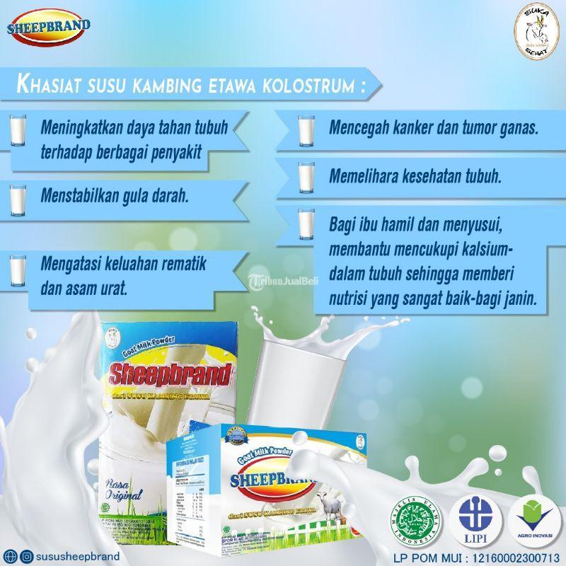 Susu Kambing Etawa Sheepbrand Plus Kolostrum Di Sleman Tribun Jualbeli