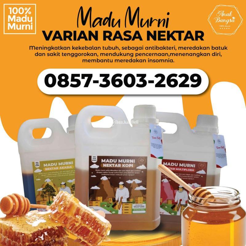 Grosir Madu Asli Murni Nektar Varian Rasa Enak Di Malang Kota Tribun