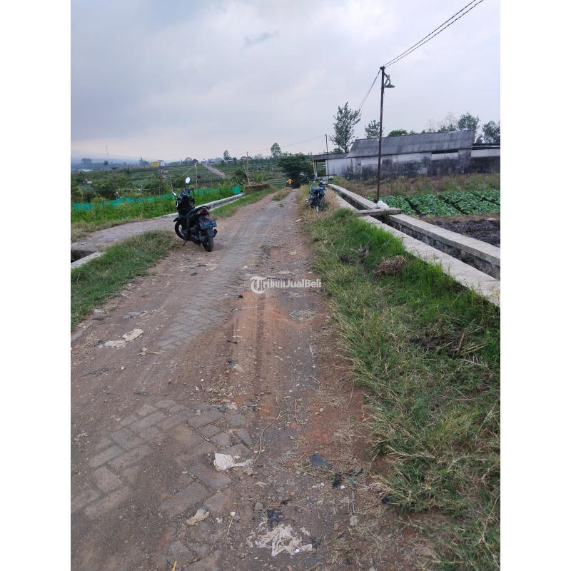 Jual Tanah Luas 1200 Meter View Pegunungan Kota Batu Madewo Apples Di