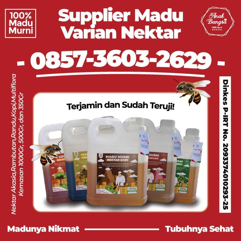 Supplier Madu Murni Nektar Varian Akasia Kopi Multiflora Randu Rambutan