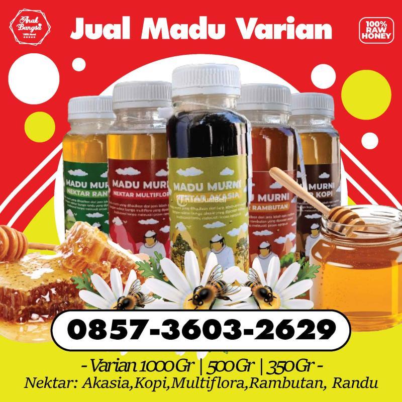 Distributor Madu Asli Murni Varian Rasa Nektar Terpercaya Di Malang