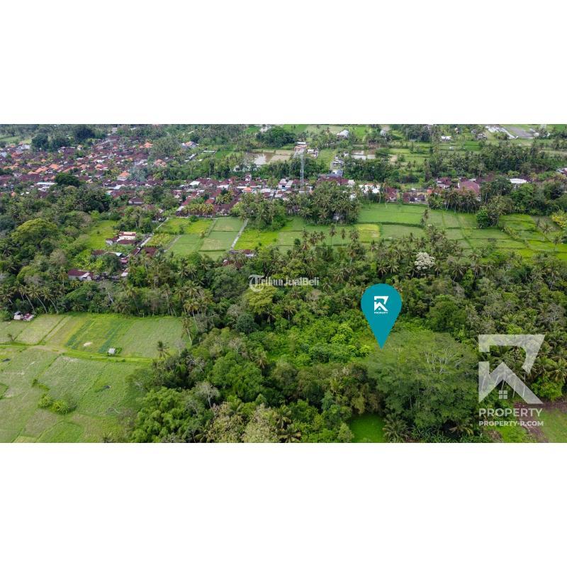 Disewakan Tanah Luas 78 Are View Hamparan Kebun Di Pejeng Bali Di