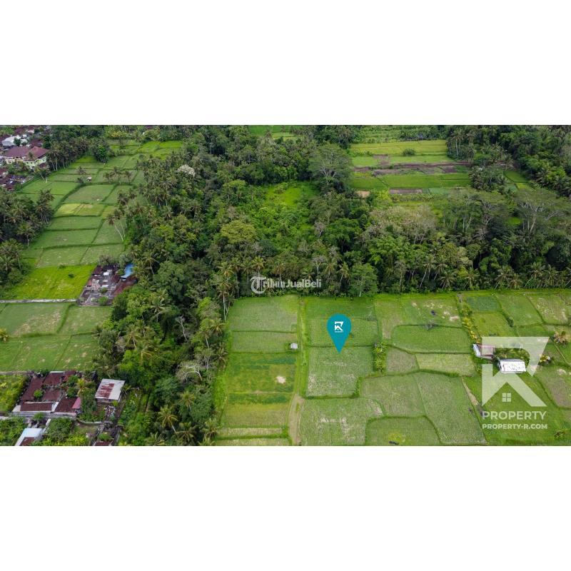 Dijual Tanah Hak Milik Luas Are Dengan Pemandangan Sawah Di Pejeng