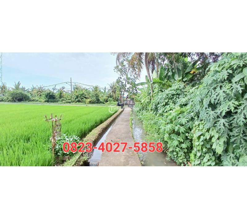 Dijual Tanah View Sawah M Deket Pantai Kedungu Kediri Di Tabanan