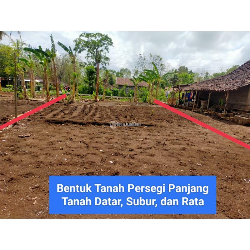 Dijual Tanah Murah Lt Legalitas Shm Pekarangan Siap Bangun Di Gunung