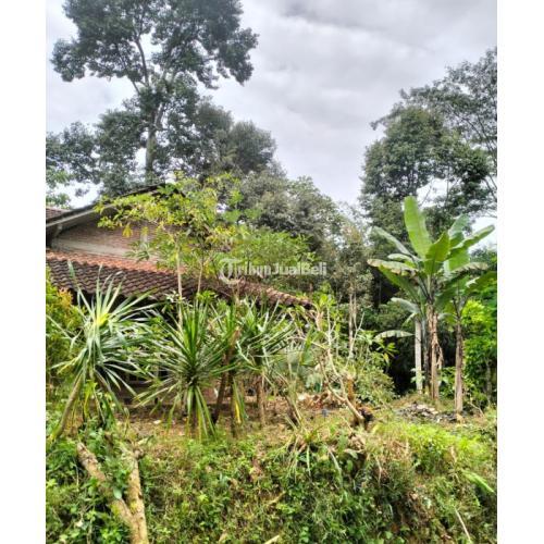 Dijual Tanah Kebun Durian Bonus Rumah Karangpandan Di Karanganyar