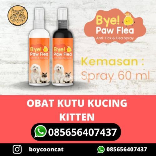 Obat Kutu Kucing Kitten Bye Paw Flea Di Malang Tribun Jualbeli