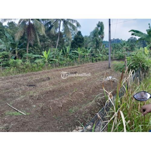 Dijual Tanah Kebun Pinggir Jalan Cor Di Cisalam Baros Di Serang