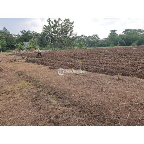 Dijual Tanah Kebun Pinggir Jalan Provinsi Dijual Di Dramaga Di Bogor