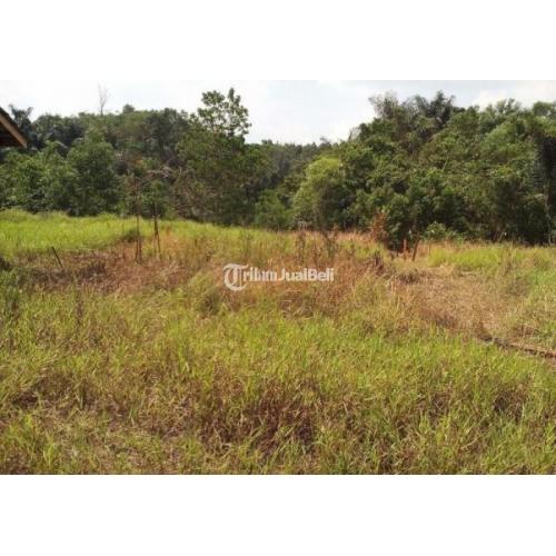 Tanah Kosong Siap Untuk Investasi SHM di Sebelah Perumahan Citra Gading Residence Sidodamai - Samarinda