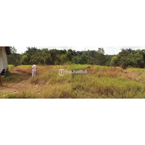 Tanah Kosong Siap Untuk Investasi SHM di Sebelah Perumahan Citra Gading Residence Sidodamai - Samarinda