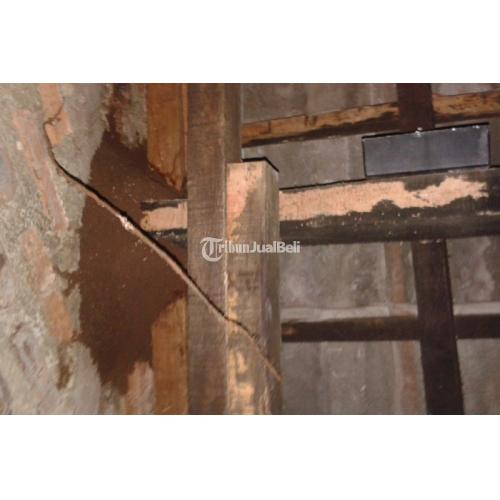 Jasa Anti Rayap atau Pembasmi Rayap di Jogja, Solo, Semarang, Magelang, Klaten - Bantul