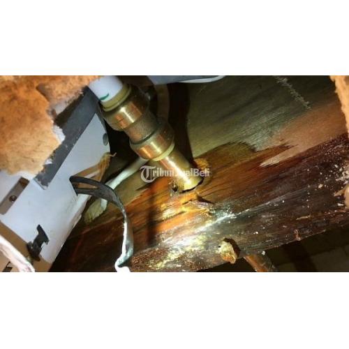 Jasa Anti Rayap atau Pembasmi Rayap di Jogja, Solo, Semarang, Magelang, Klaten - Bantul