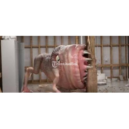 Jasa Anti Rayap atau Pembasmi Rayap di Jogja, Solo, Semarang, Magelang, Klaten - Bantul