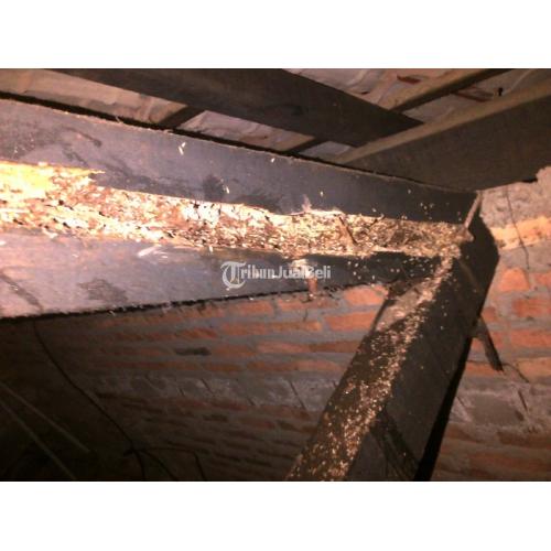 Jasa Anti Rayap atau Pembasmi Rayap di Jogja, Solo, Semarang, Magelang, Klaten - Bantul