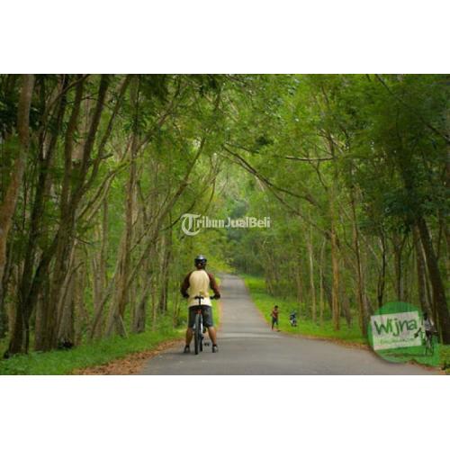 Wisata Sepeda Jogja Cycling Keliling Desa Tradisional New Murah - Yogyakarta