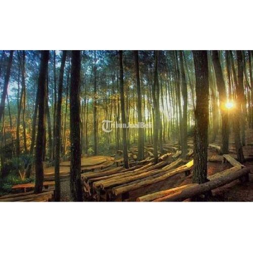 Wisata Sepeda Jogja Cycling Keliling Desa Tradisional New Murah - Yogyakarta