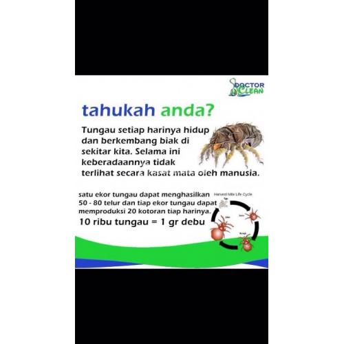 Jasa Membasmi Tungau dan Kuman dengan Vakum Hydro Cleaning Doctor Clean Harga Murah - Pangkalpinang