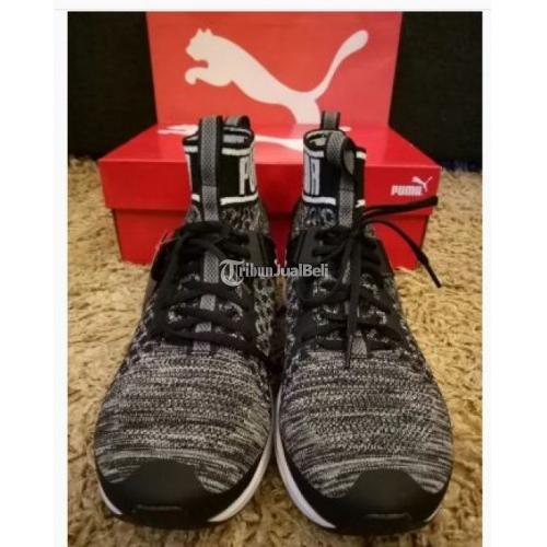 Sepatu New Baru Puma Ignite EvoKnit Black BNIB Harga Murah Size 43 di Jakarta TribunJualBeli