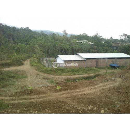 Investasi Tanah di Belakang Perumahan Siwarak Residence Ungaran - Semarang