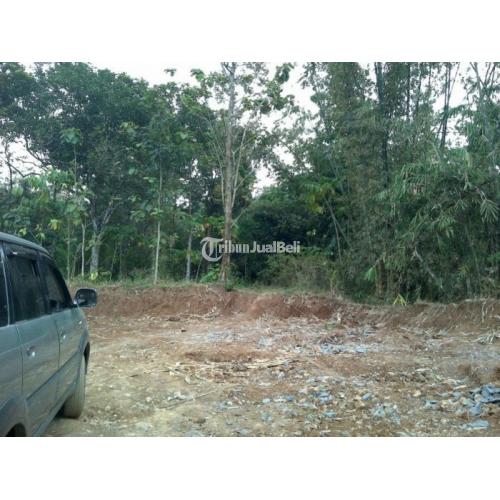 Investasi Tanah di Belakang Perumahan Siwarak Residence Ungaran - Semarang