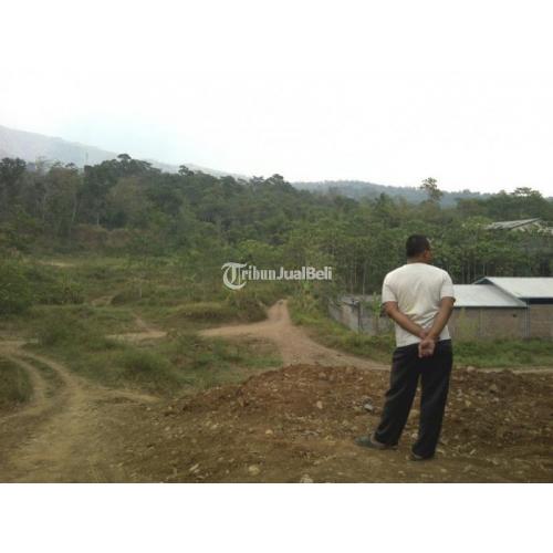 Investasi Tanah di Belakang Perumahan Siwarak Residence Ungaran - Semarang