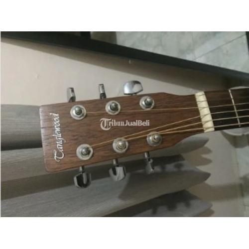 Gitar Akustik Elektrik Tanglewood TWCR-OE Second Mulus Terawat Nego - Jakarta