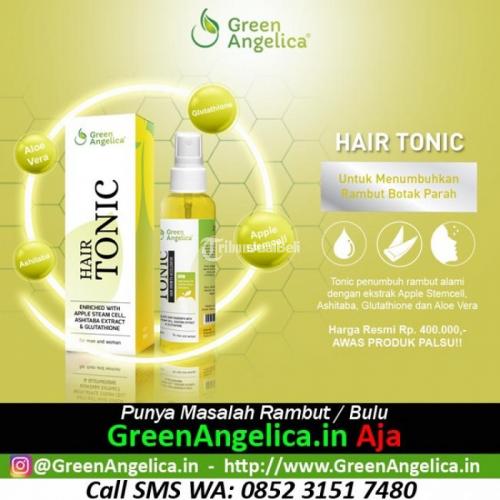 Green Angelica Tonik Obat Penumbuh Rambut Botak Harga Terjangkau Di ...