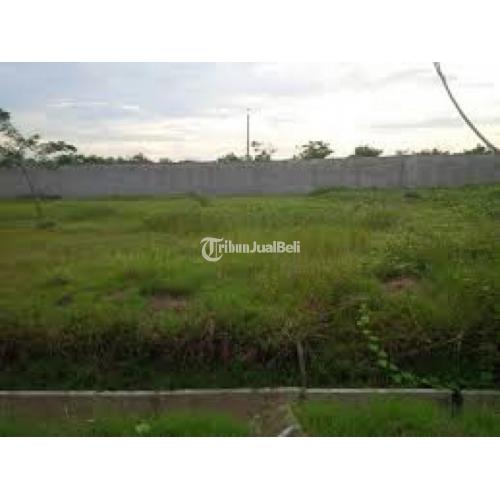 Tanah Tikala Luas Cocok untuk Investasi - Manado