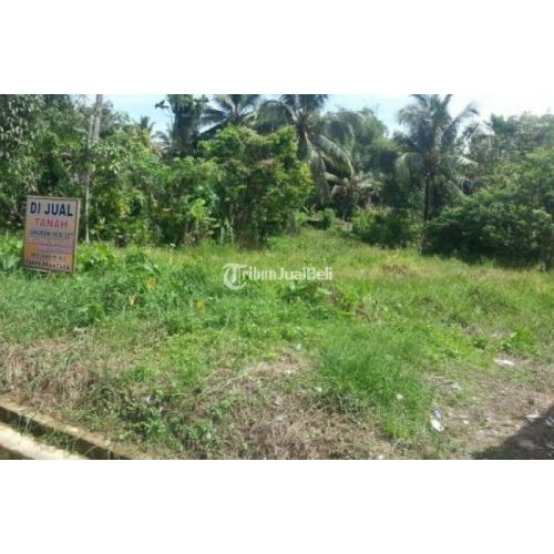 Tanah LT 384 M2 SHM Jalan Aki Balak Gang Swasembada - Tarakan Kalimantan Utara