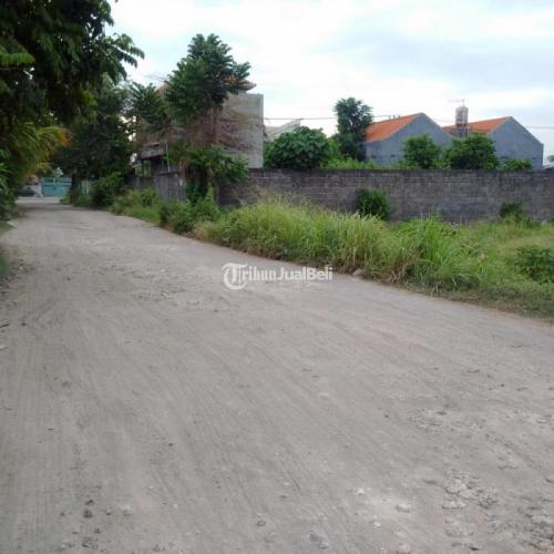 Tanah Murah Di Renon 60 Meter Dari Jalan Raya Tukad Badung Pas Depan Sekolah Doremi Dan Kampus Primakara - Denpasar