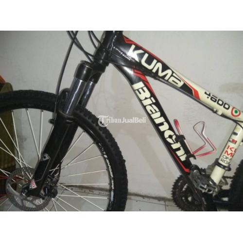 Bianchi kuma 2024 4600 price