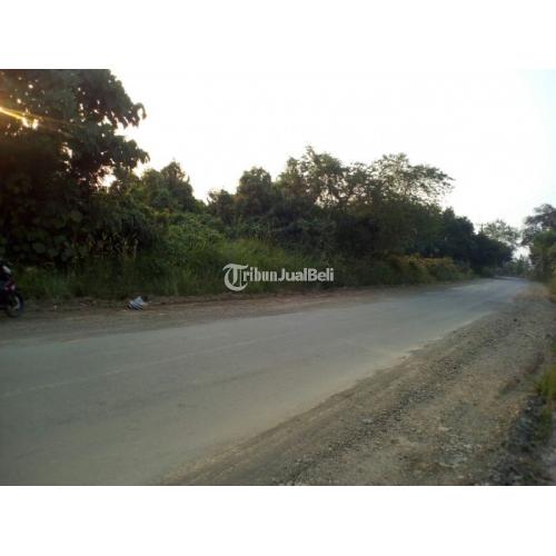 Tanah di Maja Lokasi Strategis Siap Bangun Harga Murah - Tangerang