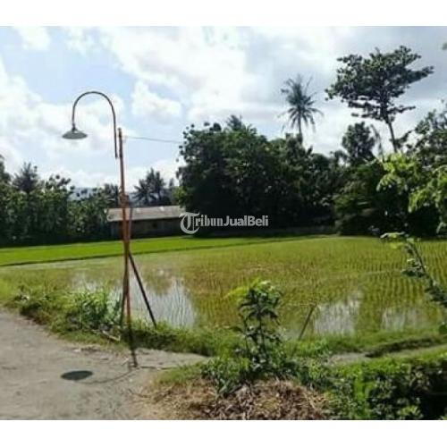 Tanah Sawah Tepi Jalan Raya Lokasi Sangat Strategis Di Imogiri Barat Km ...